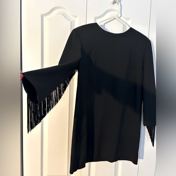 ✨NWT | Zara | Fringed Long sleeves Mini Dress - Picture 2 of 5